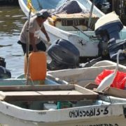 Tiempos electorales generan incertidumbre en el sector pesquero