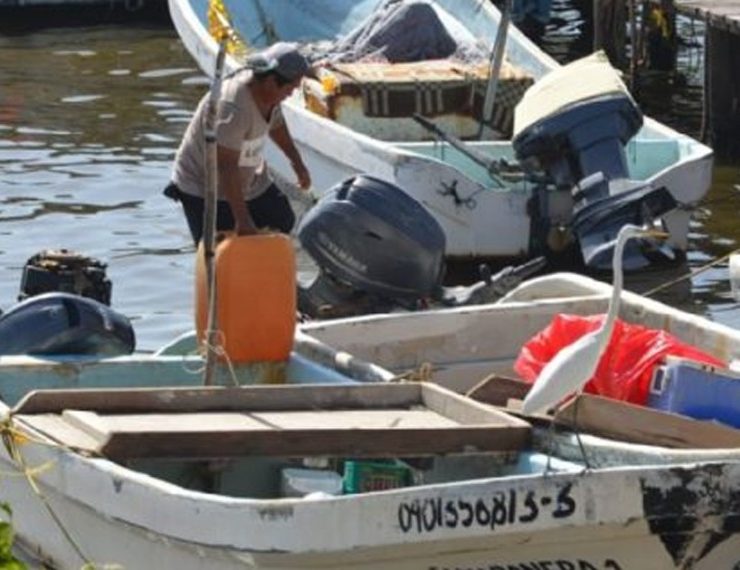 Tiempos electorales generan incertidumbre en el sector pesquero