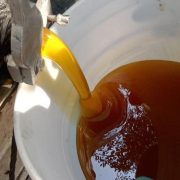 En el municipio de Carmen se produce miel de calidad