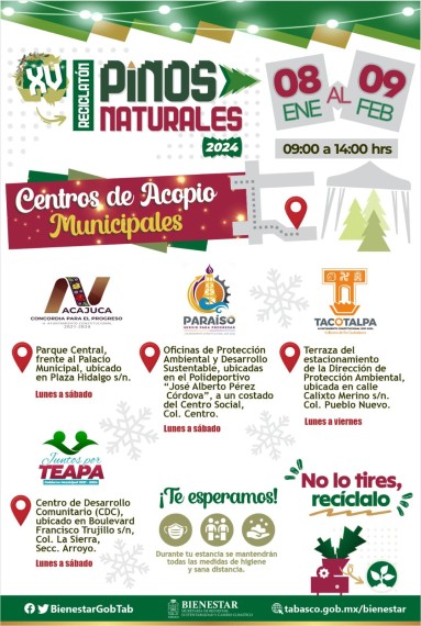 Reciclatón de pinos de navidad en Tabasco: ¿Dónde se ubican los centros de acopio?