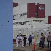 Zopilotes toman hospital en Tabasco; tiene casi 500 muertos al año