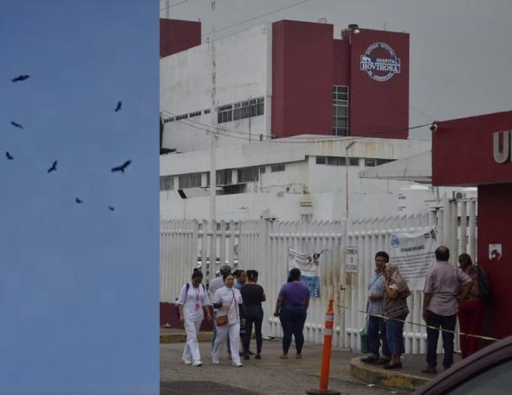 Zopilotes toman hospital en Tabasco; tiene casi 500 muertos al año