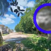 Un enorme cocodrilo, bautizado cariñosamente como "Huancho"