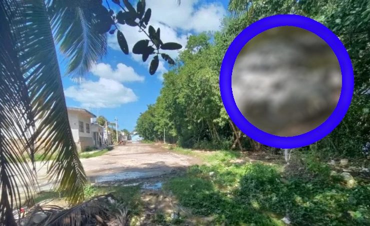 Un enorme cocodrilo, bautizado cariñosamente como "Huancho"