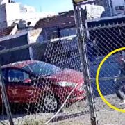 Niño de 12 años le dispara a un perro en Michoacán