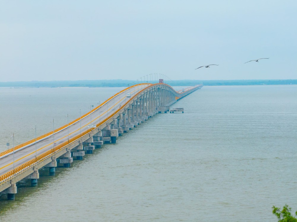 Siete sindicatos buscan trabajar en el mantenimiento del Puente Zacatal