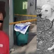 Un grupo de mujeres rescatistas pidieron a las autoridades justicia para "Rufo" y cárcel para el presunto responsable