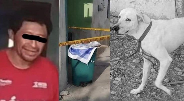 Un grupo de mujeres rescatistas pidieron a las autoridades justicia para "Rufo" y cárcel para el presunto responsable