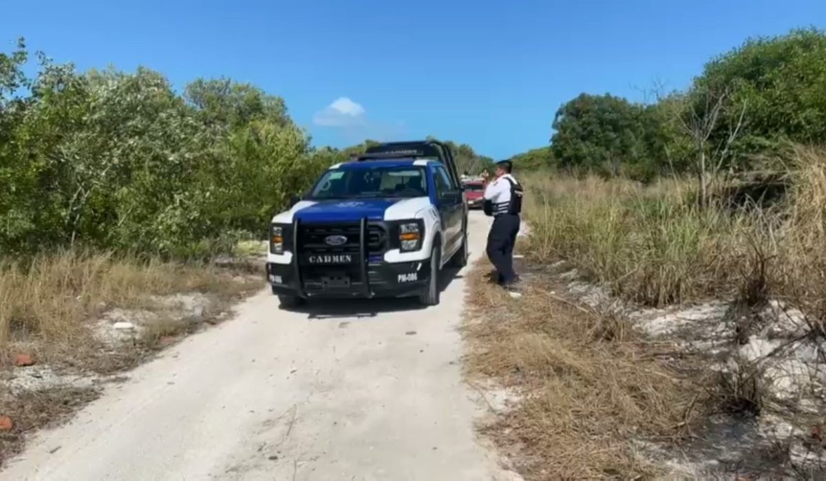 Ejecuciones entre grupos delictivos no impacta al sector empresarial