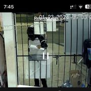 Denuncian narco mensaje