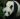 Xin Xin la única panda gigante de nacionalidad mexicana