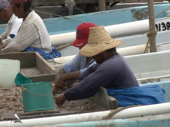 Gobiernos abandonaron al sector pesquero ribereño carmelita
