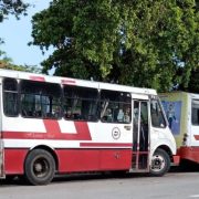 ¿Qué está ocurriendo con la Alianza de Camioneros de Yucatán?