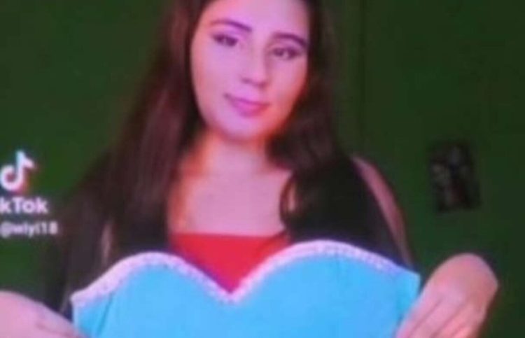 Chica De 15 Años En Tiktok Se Viraliza Por Su Vestido De Su Fiesta