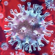 China creó nuevo virus del Covid-19