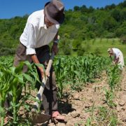 Agro en la Península de Atasta en abandono