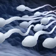 El "DIU" para hombres