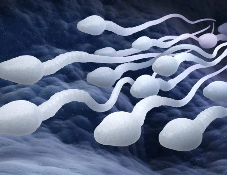 El "DIU" para hombres