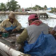Gobiernos abandonaron al sector pesquero ribereño carmelita