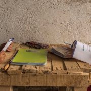 Destaca UIT Desigualdades Globales en la Conectividad Digital