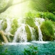 OREMOS AL SEÑOR para que los jóvenes tengan más inteligencia