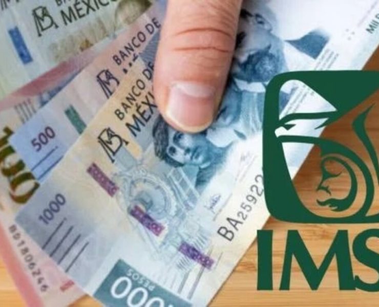 ¿Qué es la Ley 73 del IMSS y a quien le corresponde?