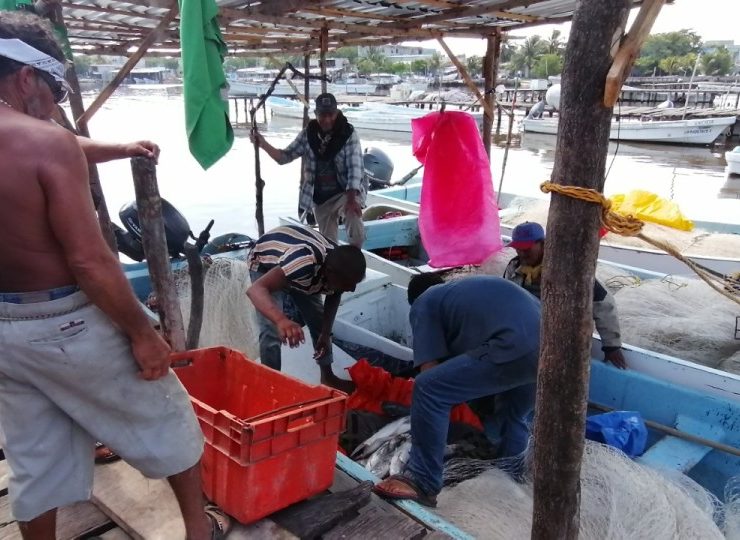 Frentes fríos afectan a la pesca ribereña