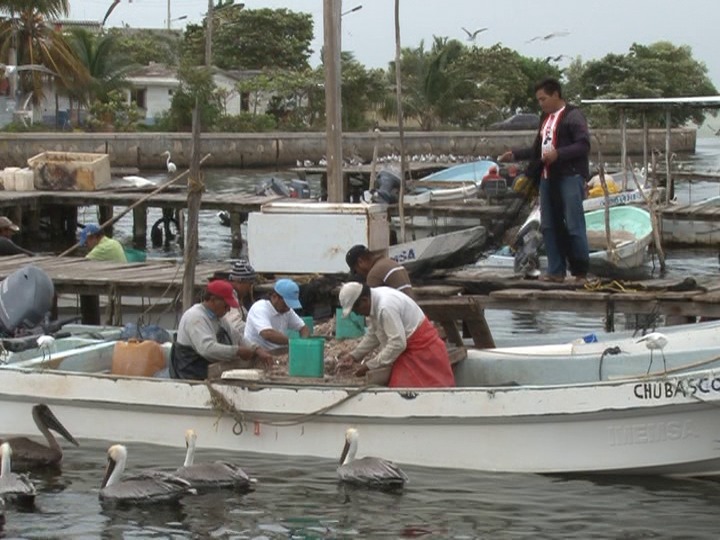Frentes fríos afectan a la pesca ribereña