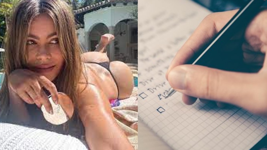 Sofia Vergara busca pareja y estas son sus condiciones