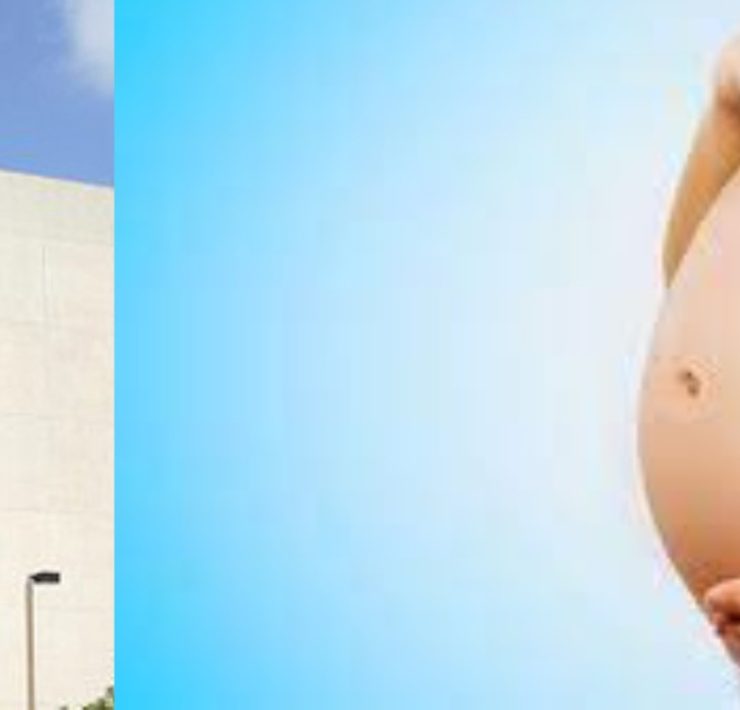 Tachan de ridícula a Michelle Renaud por la forma de anunciar su embarazo