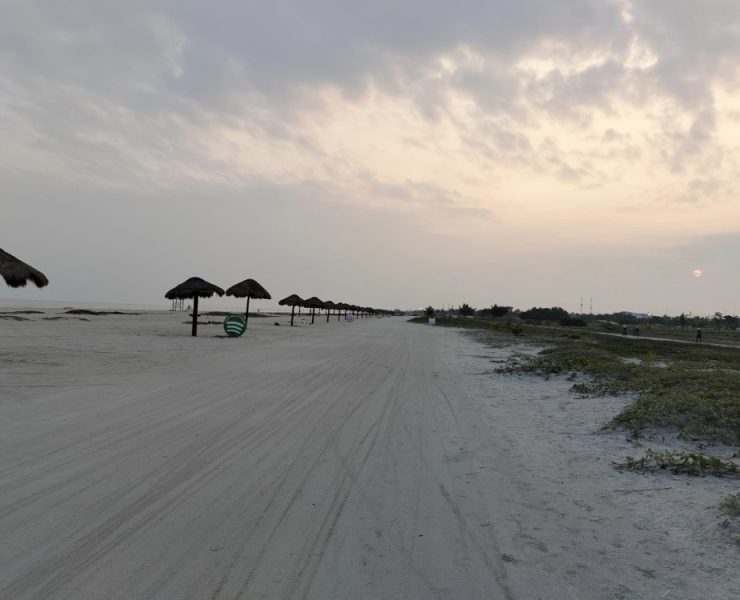 CONANP otorgó dos permisos para campamentos tortugueros en Playa Norte