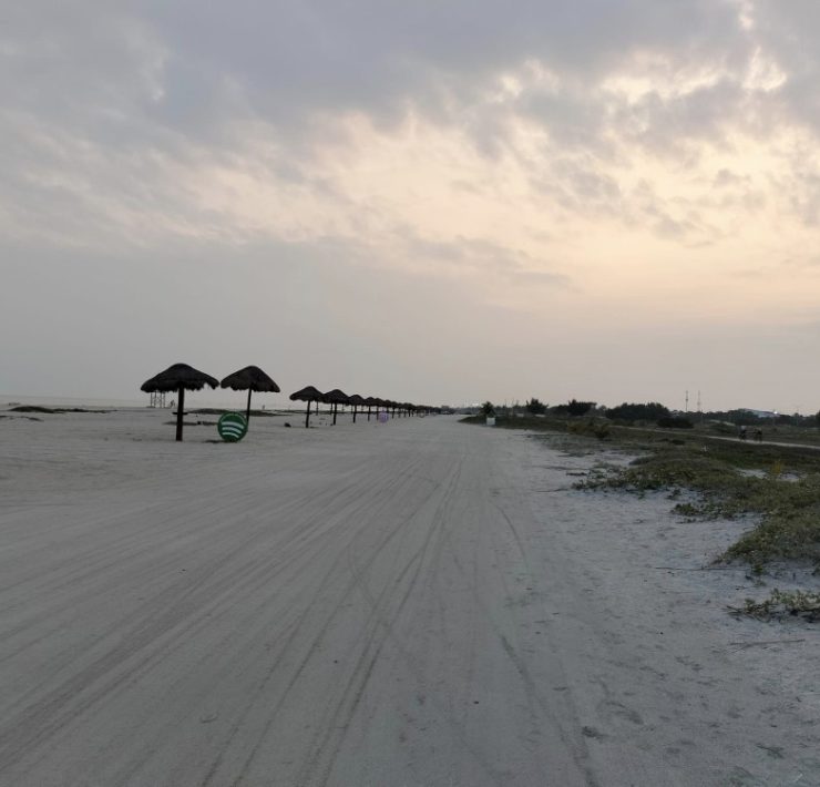 CONANP otorgó dos permisos para campamentos tortugueros en Playa Norte