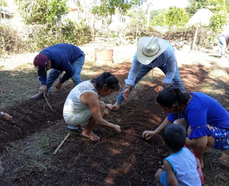 SDA y UNTA trabajan para reactivar el campo