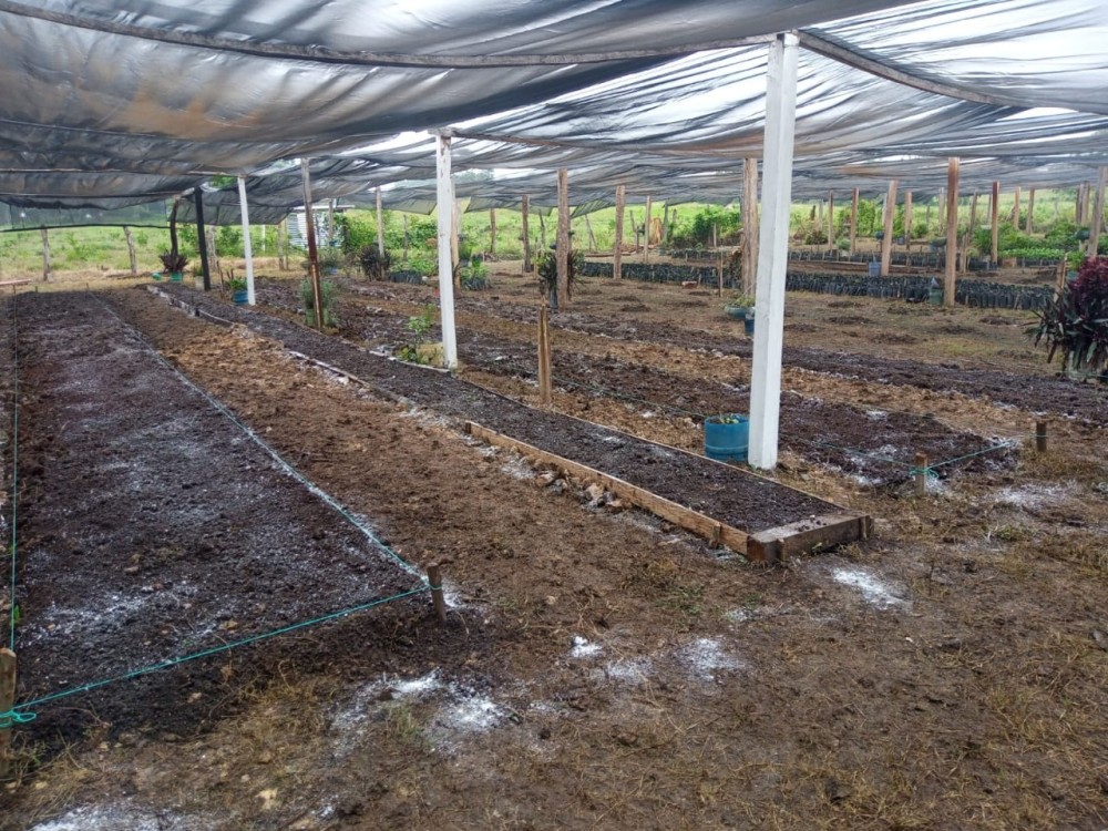 SDA y UNTA trabajan para reactivar el campo