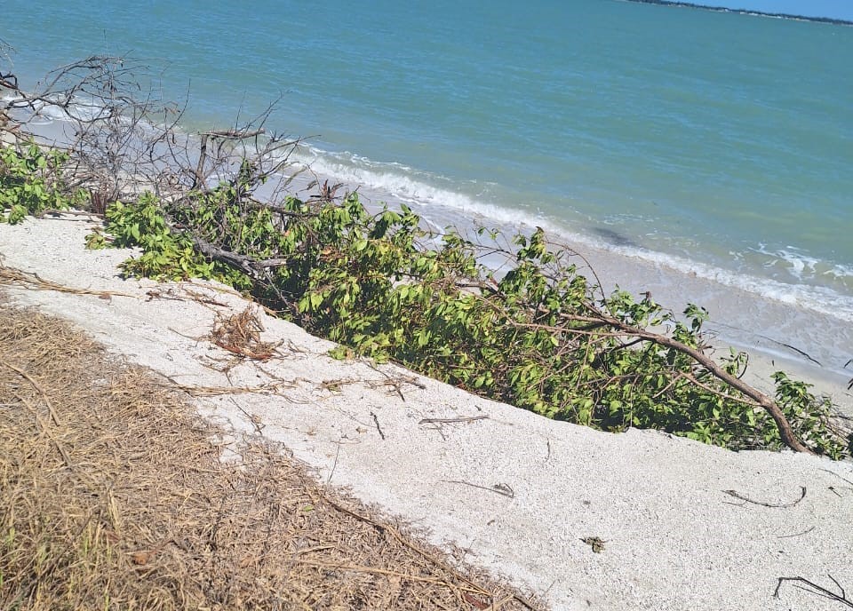 Grave erosión de playa en Punta San Julián