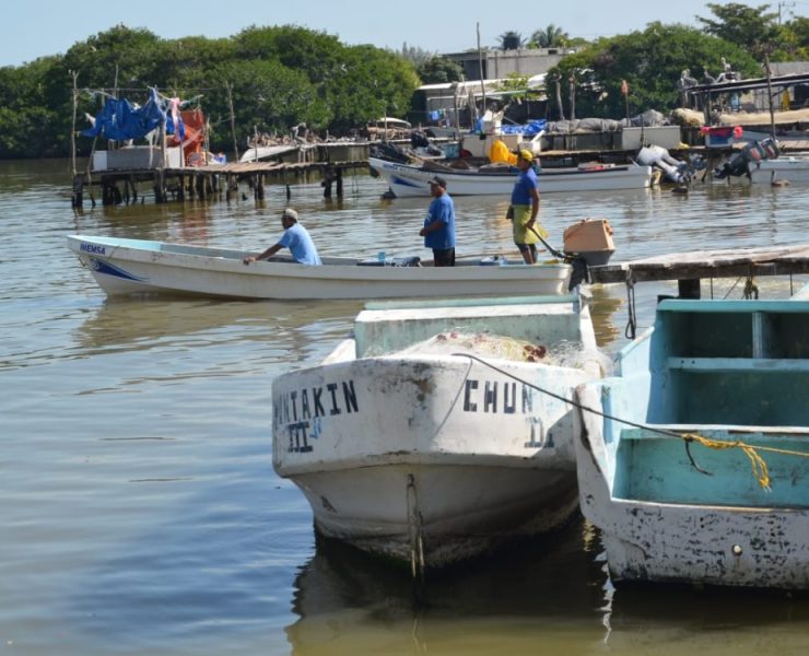 Pago del programa de veda y aja captura sería hasta el mes de mayo