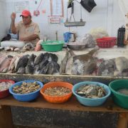 Para la Semana Santa aumentan ventas de pescados y mariscos