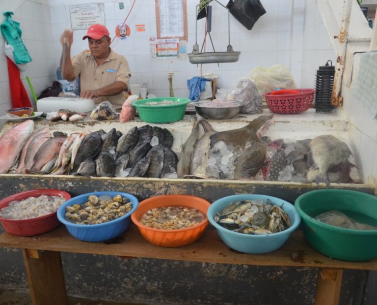 Para la Semana Santa aumentan ventas de pescados y mariscos