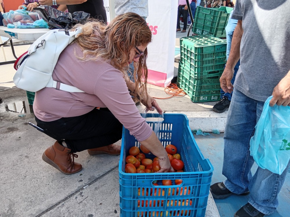 Productores agrícolas buscan liberarse de “los coyotes”