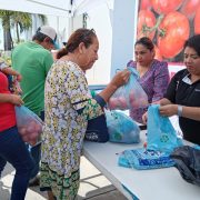 Productores agrícolas buscan liberarse de “los coyotes”