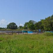 Proyecto de acuacultura de nueve cooperativas tiene un 90% de avance