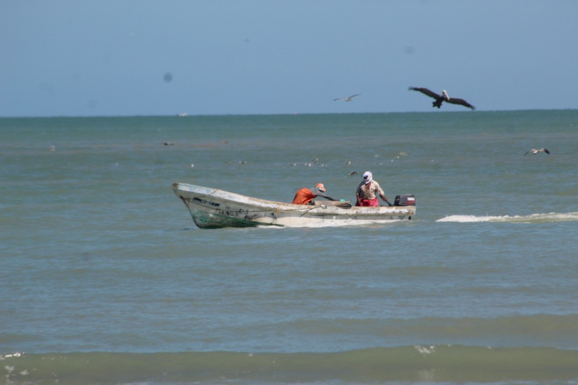 Sin reporte de robo a pescadores ribereños