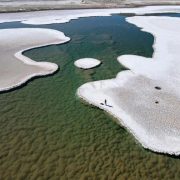 Encuentran nuevo ecosistema