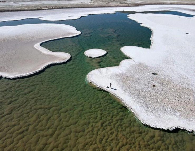 Encuentran nuevo ecosistema