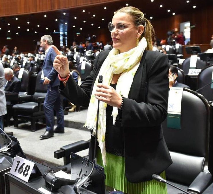 Cecilia Patrón, junto con diputados del PAN, presentó iniciativa para reducir a 60 años la edad de pensión