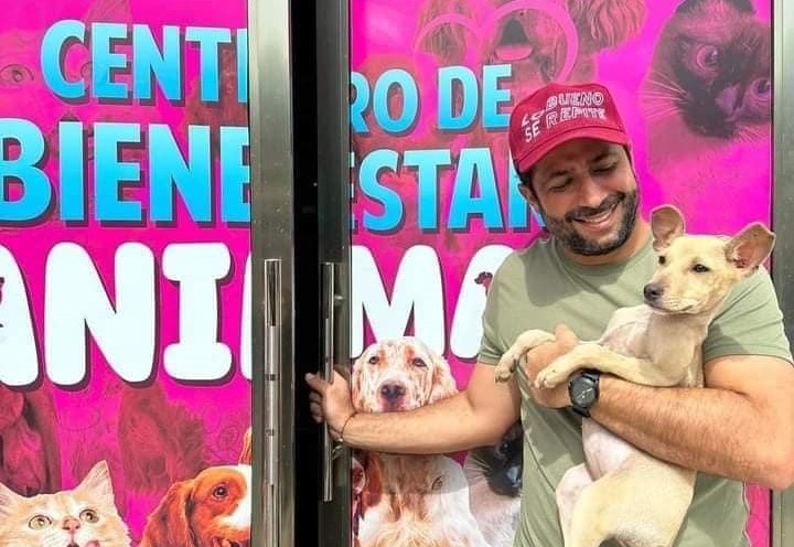 Poco personal en la Vicefiscalía de maltrato animal