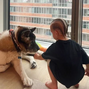 J Balvin se despide de su perrito Enzo, quien falleció el pasado domingo. 