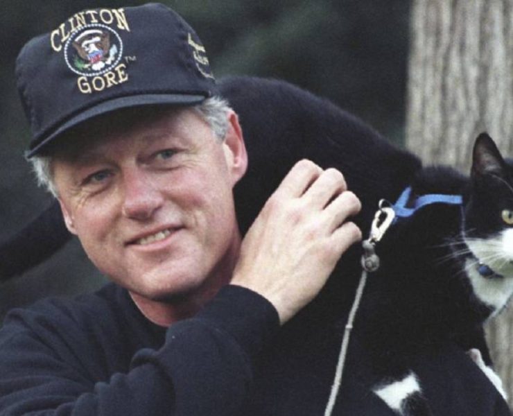 Hoy es el día del gato y por esta razón se festeja el 20 de febrero