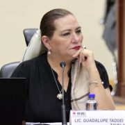 Bono para consejeros del INE es para “tranquilidad laboral”: Guadalupe Taddei