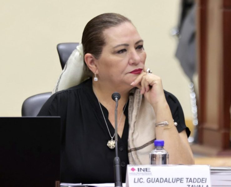 Bono para consejeros del INE es para “tranquilidad laboral”: Guadalupe Taddei